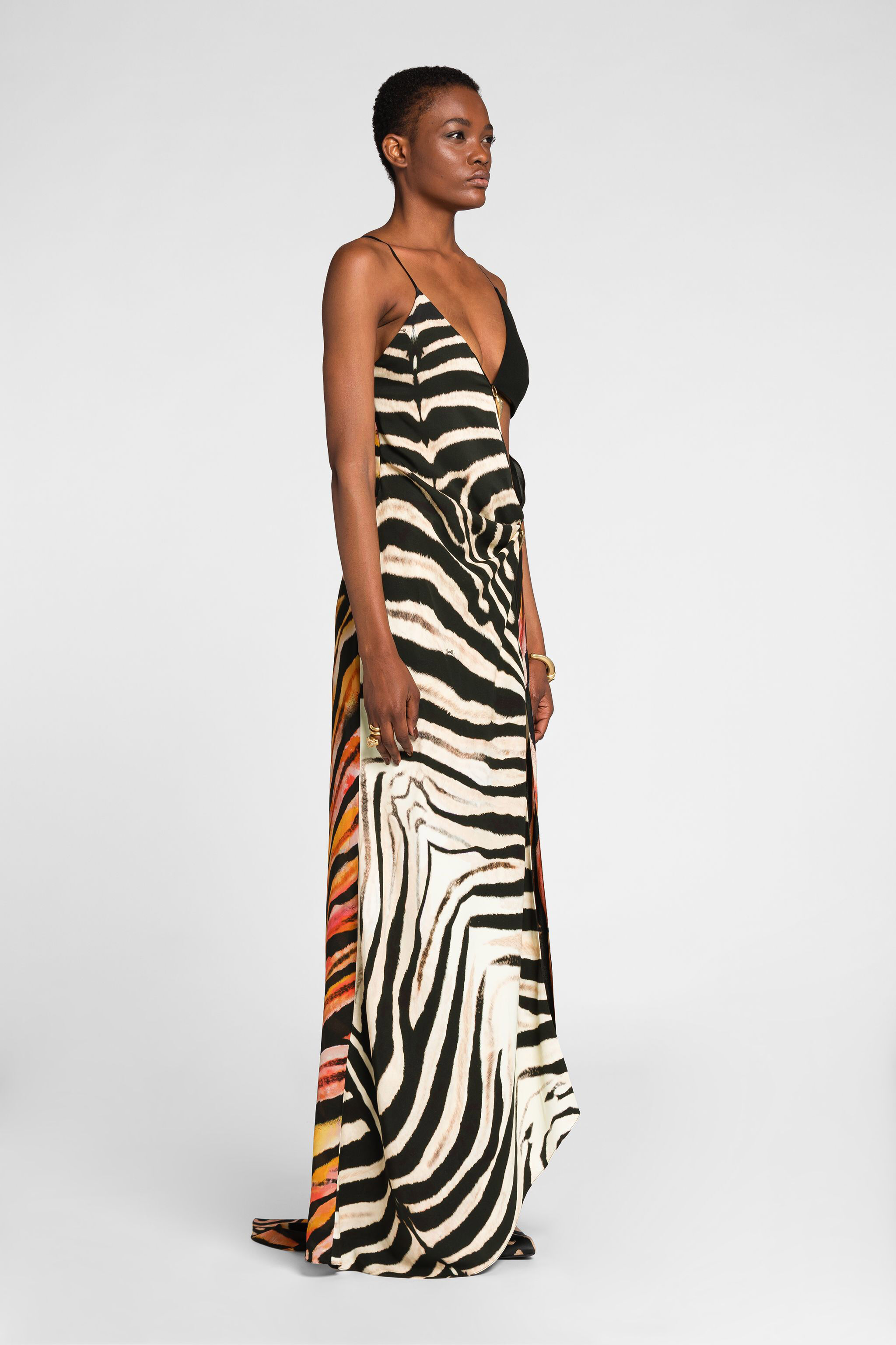 Zebra-Print Cut-Out Maxi Dress | AVORIO/NERO | Sale | Roberto 