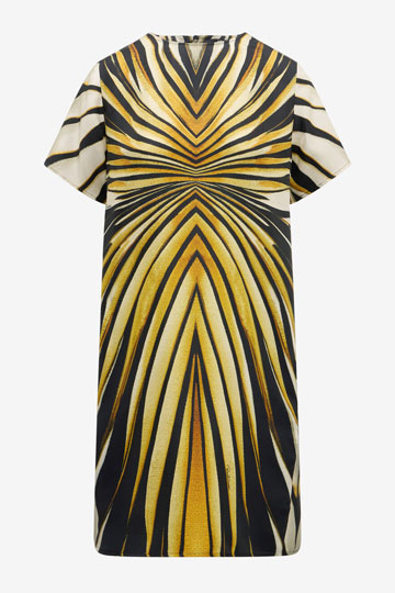 Ray Of Gold Print Silk Dress