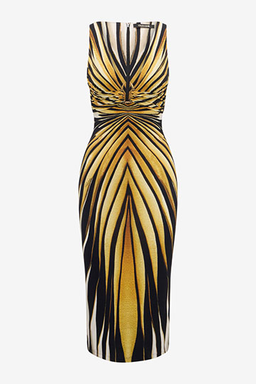 Ray Of Gold Print Fitted Dress
